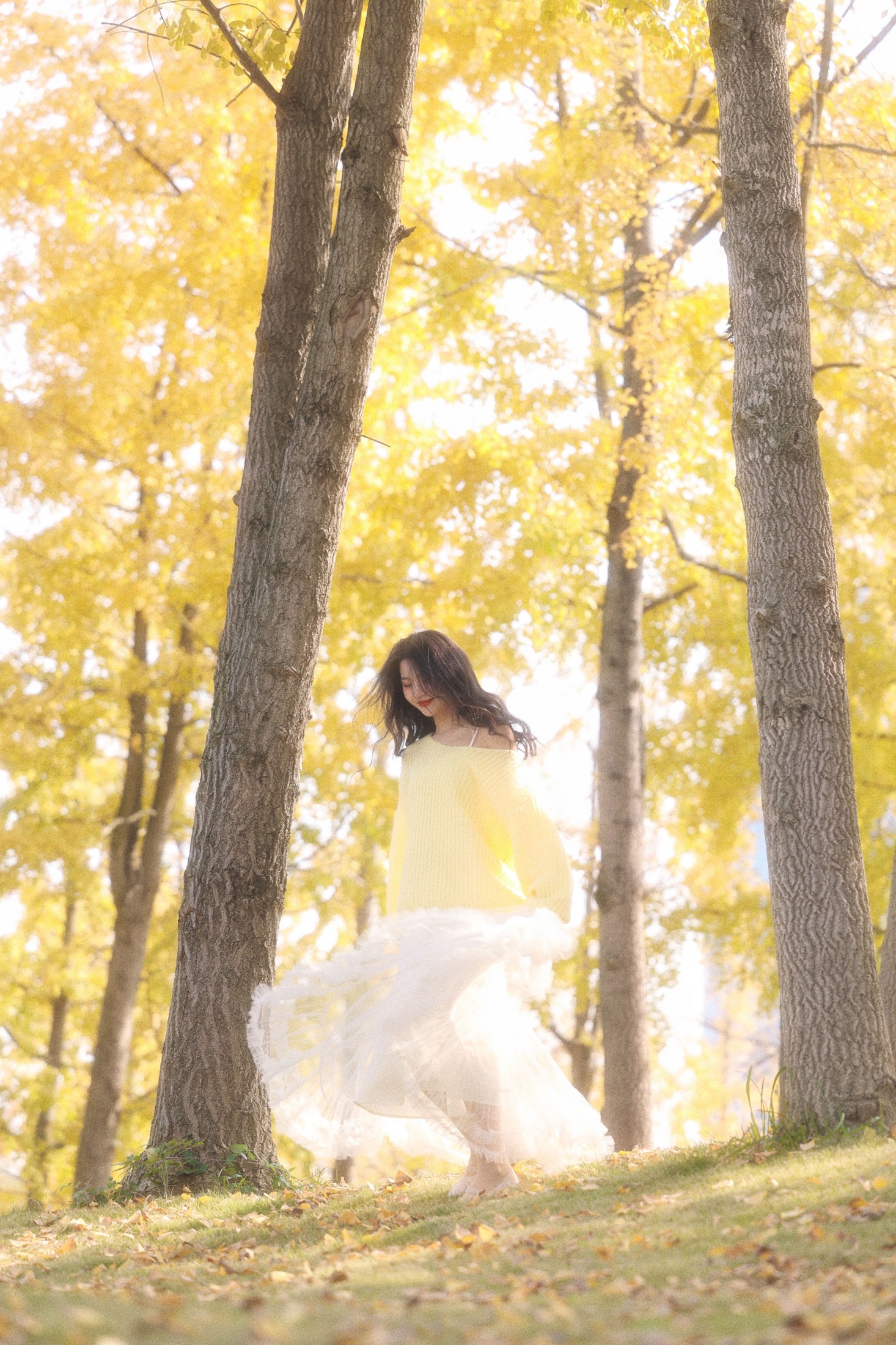 《秋日温柔限定秋日浪漫一大半是银杏给的》[29P]